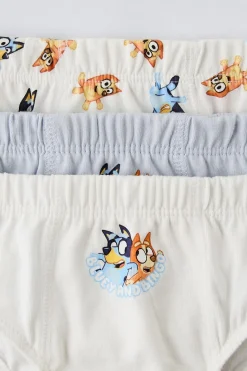 Niños ZARA 1½ - 6 Años·Licencias|1½ - 6 Años·Ropa Interior / Calcetines<2-6 AÑOS/ PACK TRES SLIPS BLUEY © LUDO STUDIO