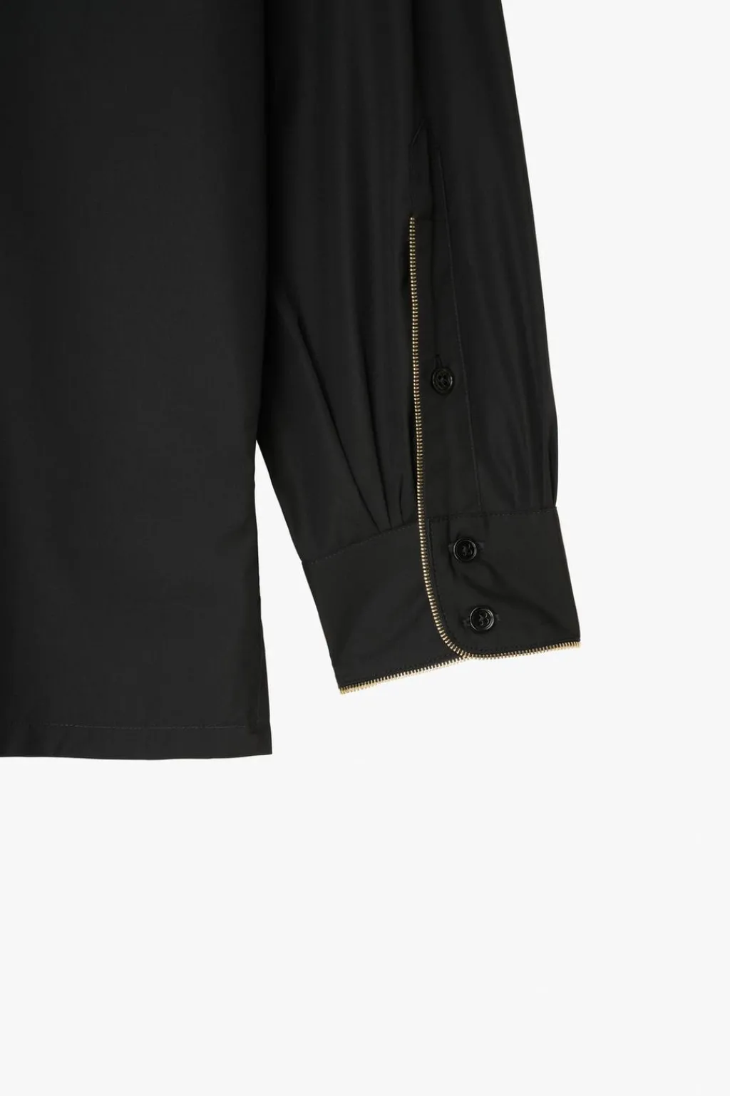 Sale CAMISA CUELLO DESMONTABLE X STEFANO PILATI Hombre Camisas