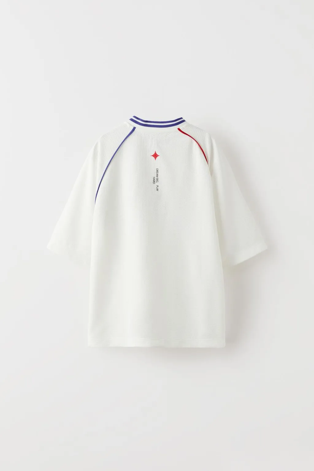 Niños ZARA 6 - 14 Años·Camisetas<CAMISETA VIVOS PARIS