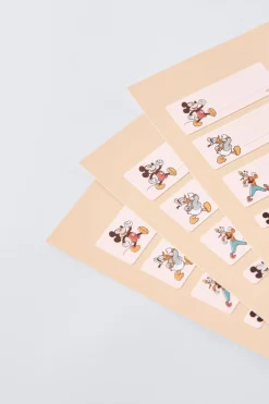 Niños ZARA 1½ - 6 Años·Licencias|1½ - 6 Años·Accesorios<PEGATINAS TERMOADHESIVAS © DISNEY