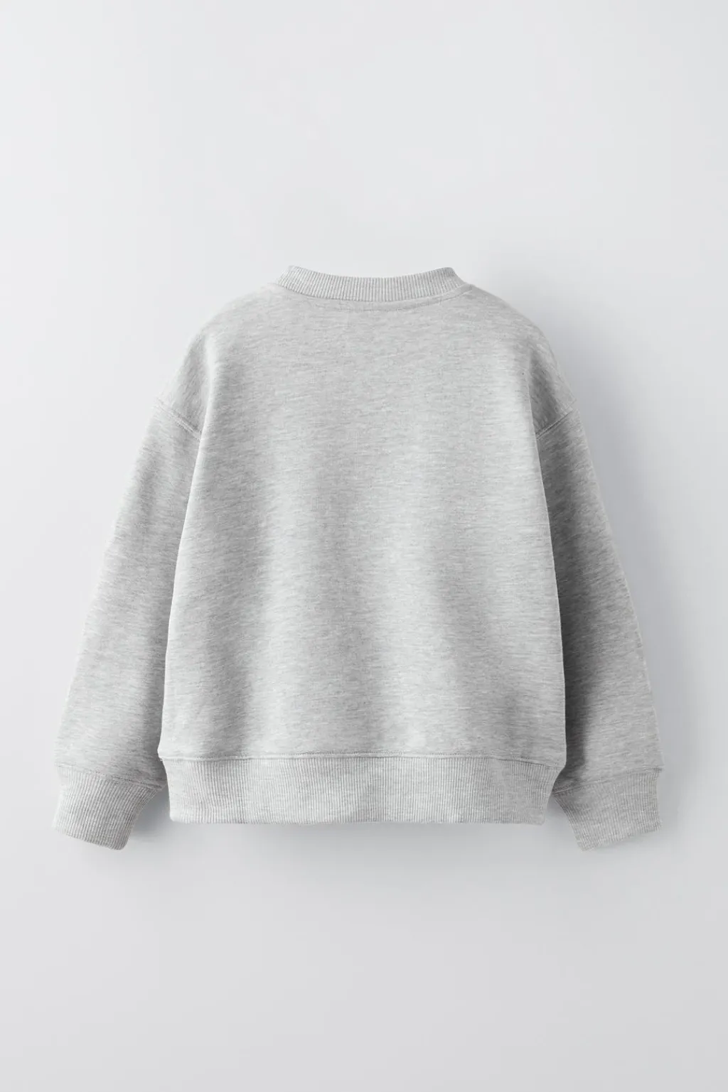 Niños ZARA 6 - 14 Años·Sudaderas<SUDADERA TEXTO FLOCK