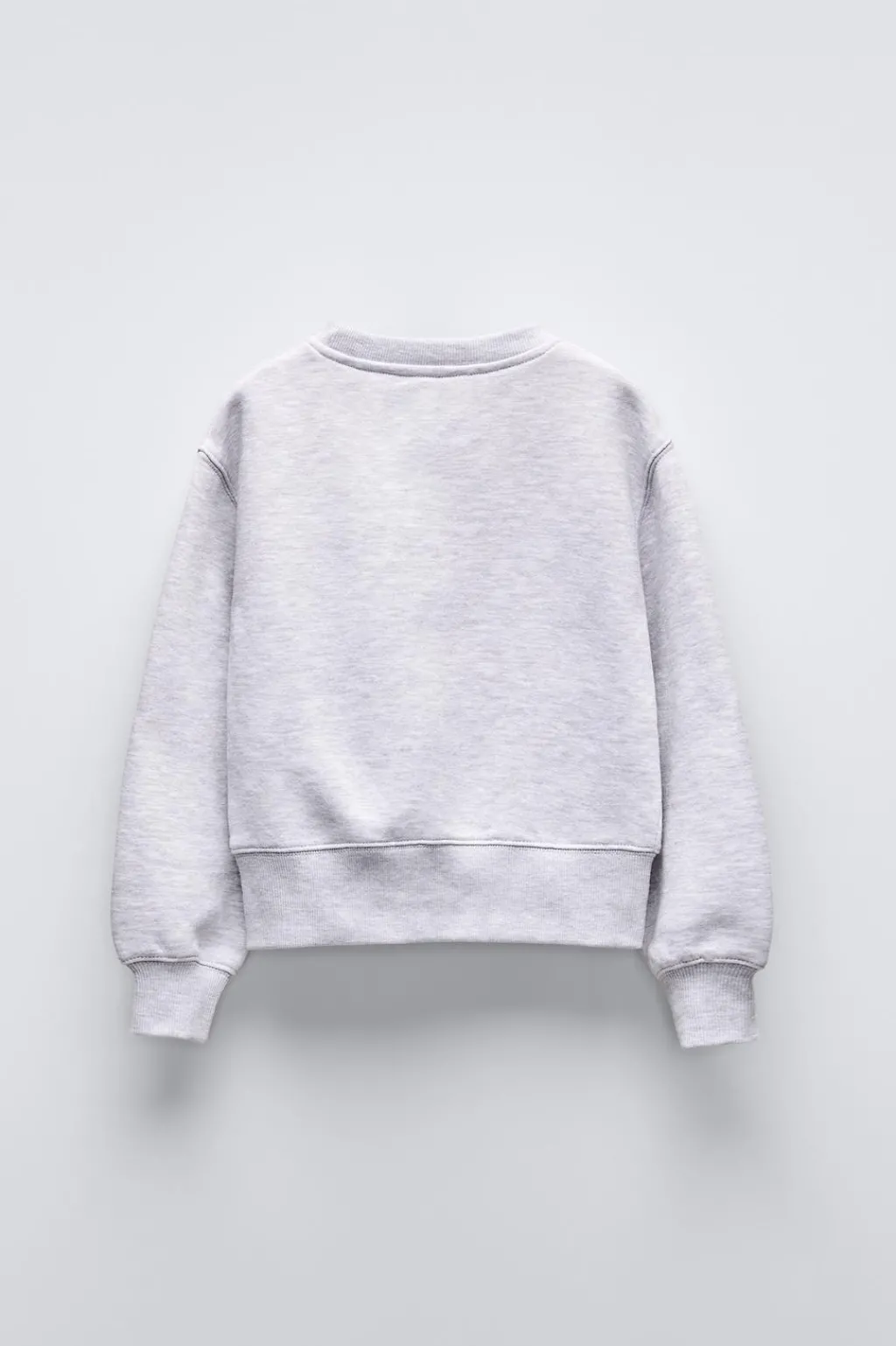 Niños ZARA 6 - 14 Años·Sudaderas|6 - 14 Años·Deporte / Jogging<SUDADERA TEXTO FLOCK